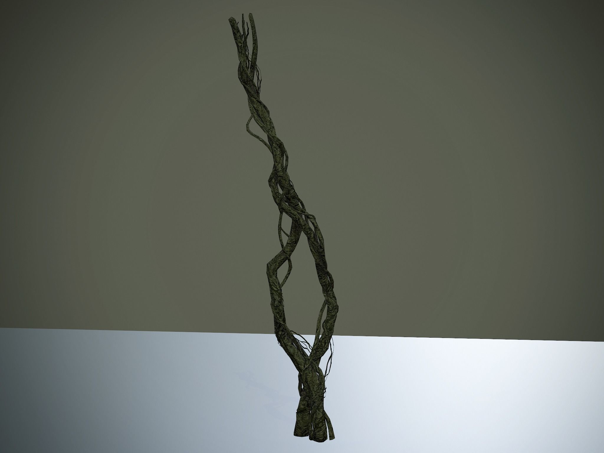 Nature Assets - Forest Vines Pack Low-poly 3D model_72