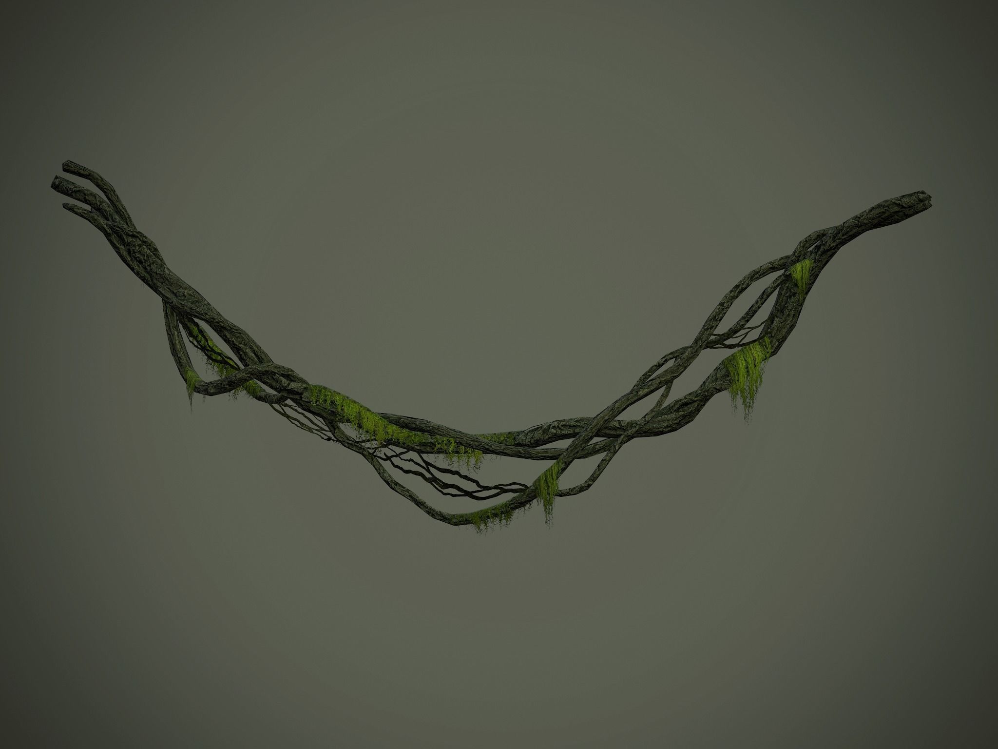 Nature Assets - Forest Vines Pack Low-poly 3D model_27