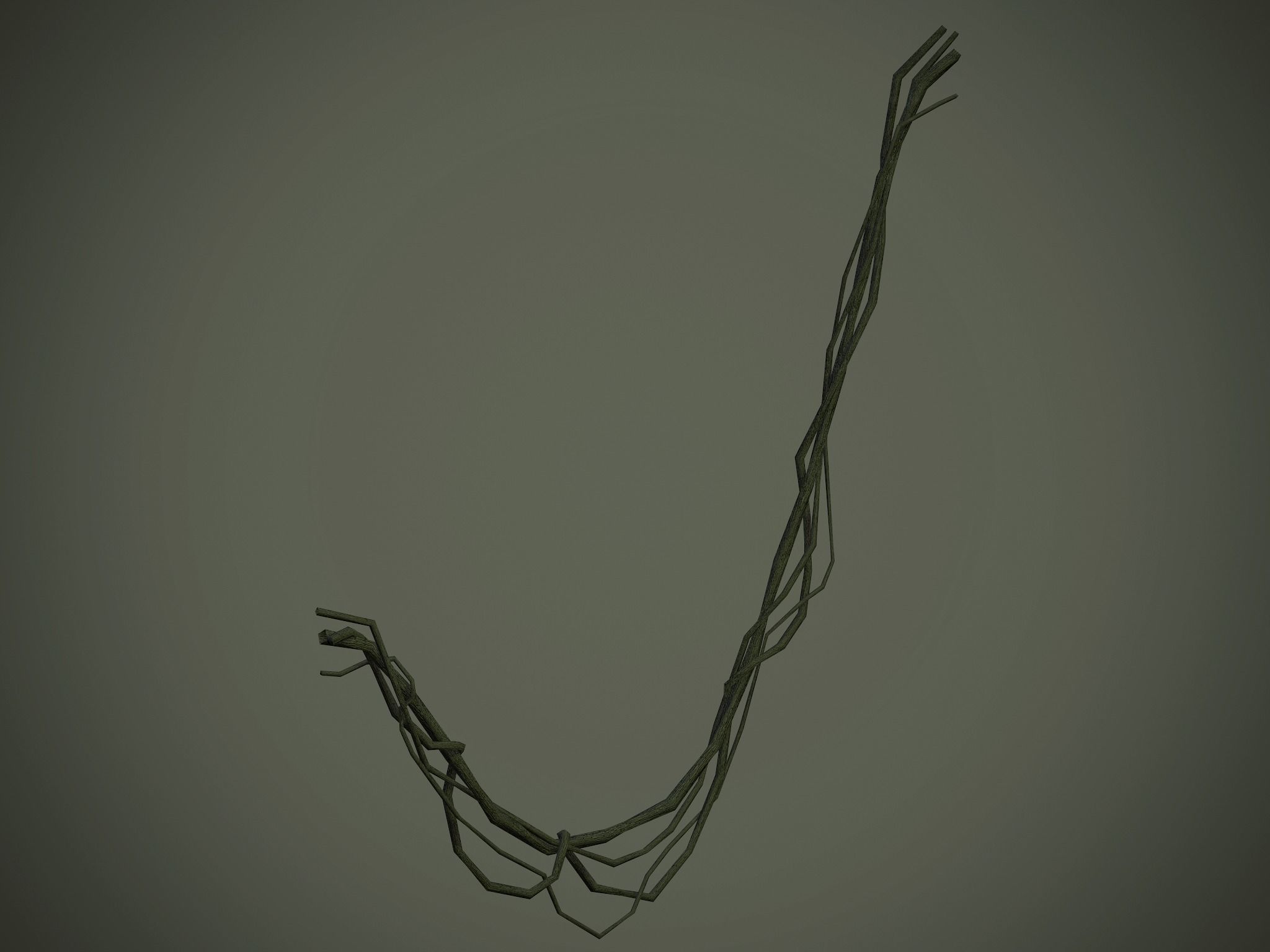 Nature Assets - Forest Vines Pack Low-poly 3D model_49