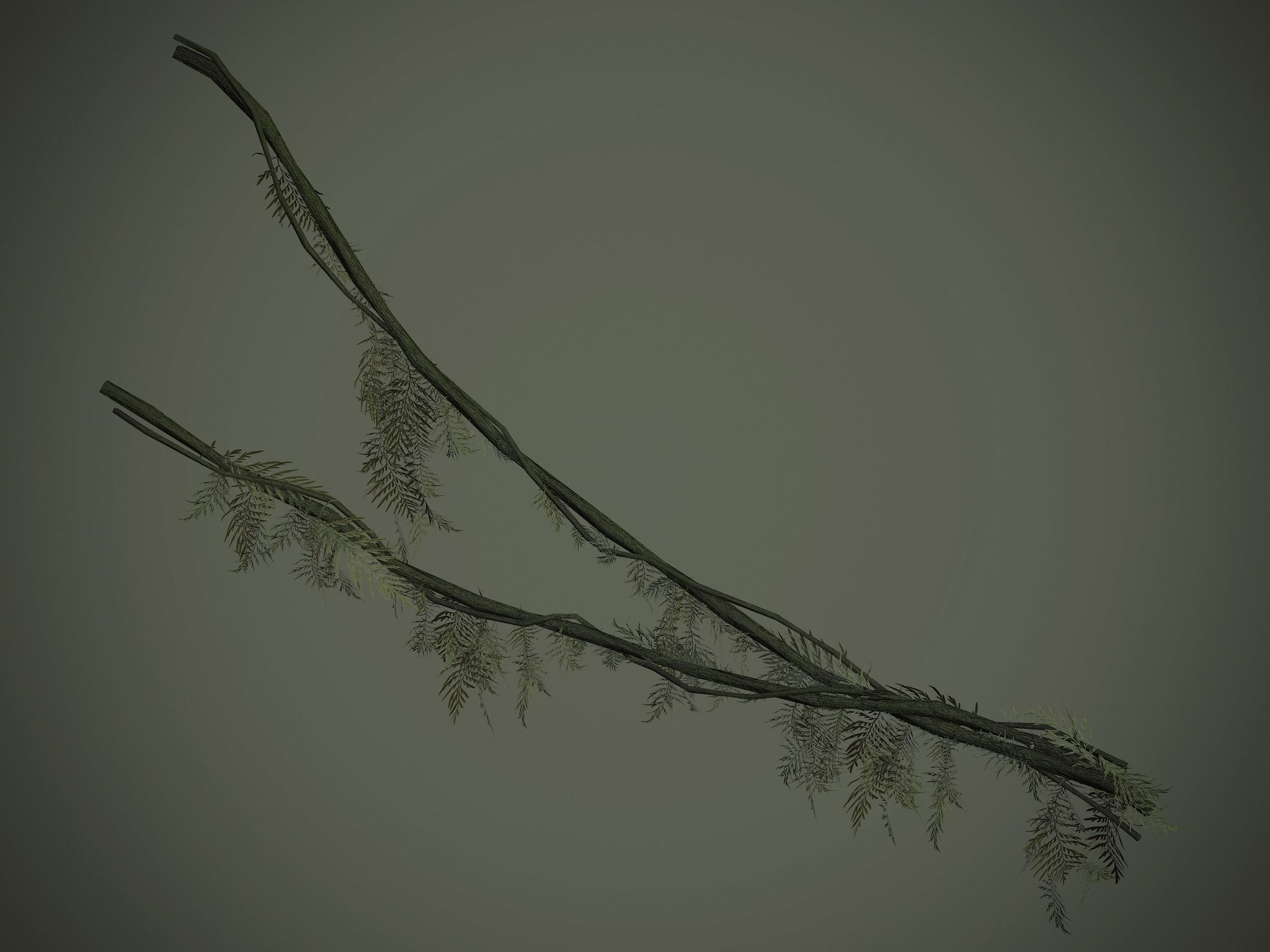 Nature Assets - Forest Vines Pack Low-poly 3D model_60