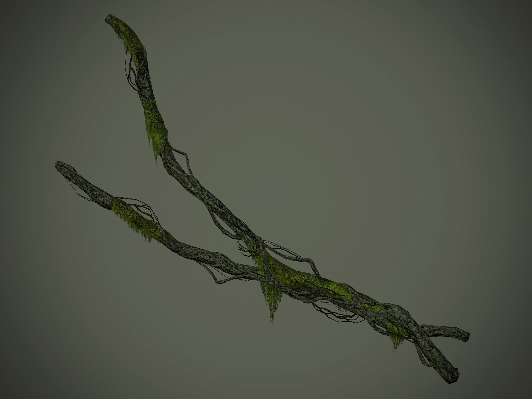 Nature Assets - Forest Vines Pack Low-poly 3D model_41