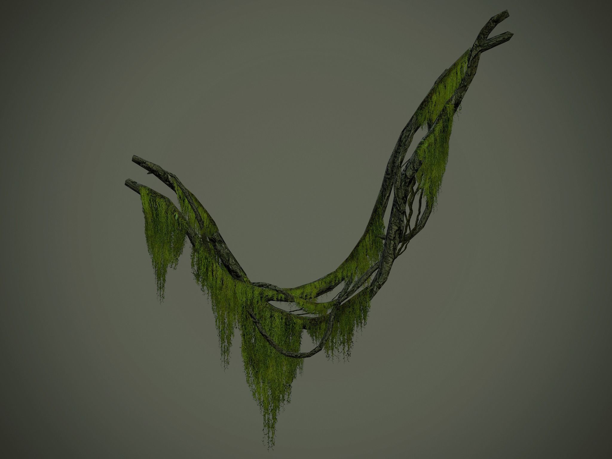 Nature Assets - Forest Vines Pack Low-poly 3D model_20