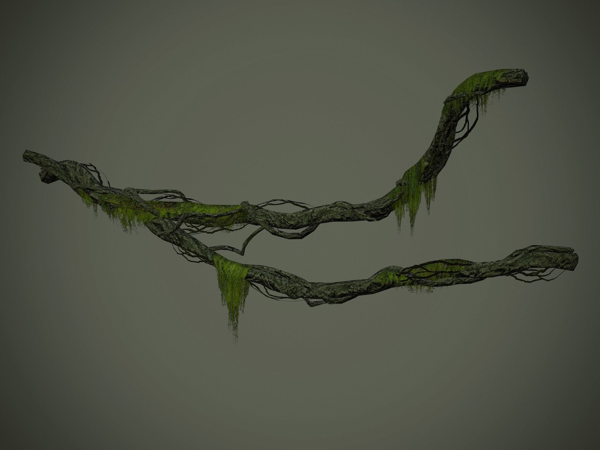 Nature Assets - Forest Vines Pack Low-poly 3D model_40