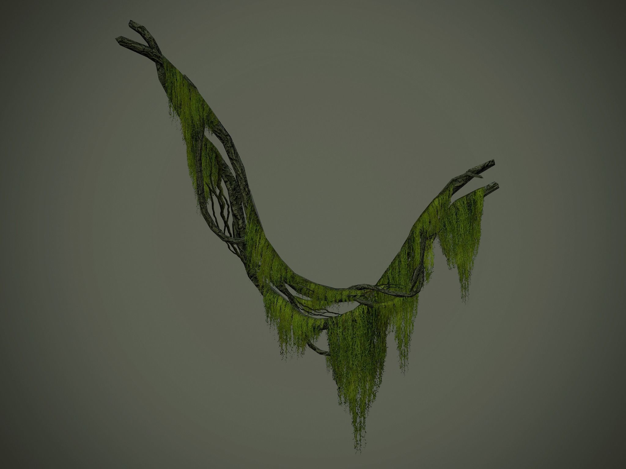 Nature Assets - Forest Vines Pack Low-poly 3D model_22