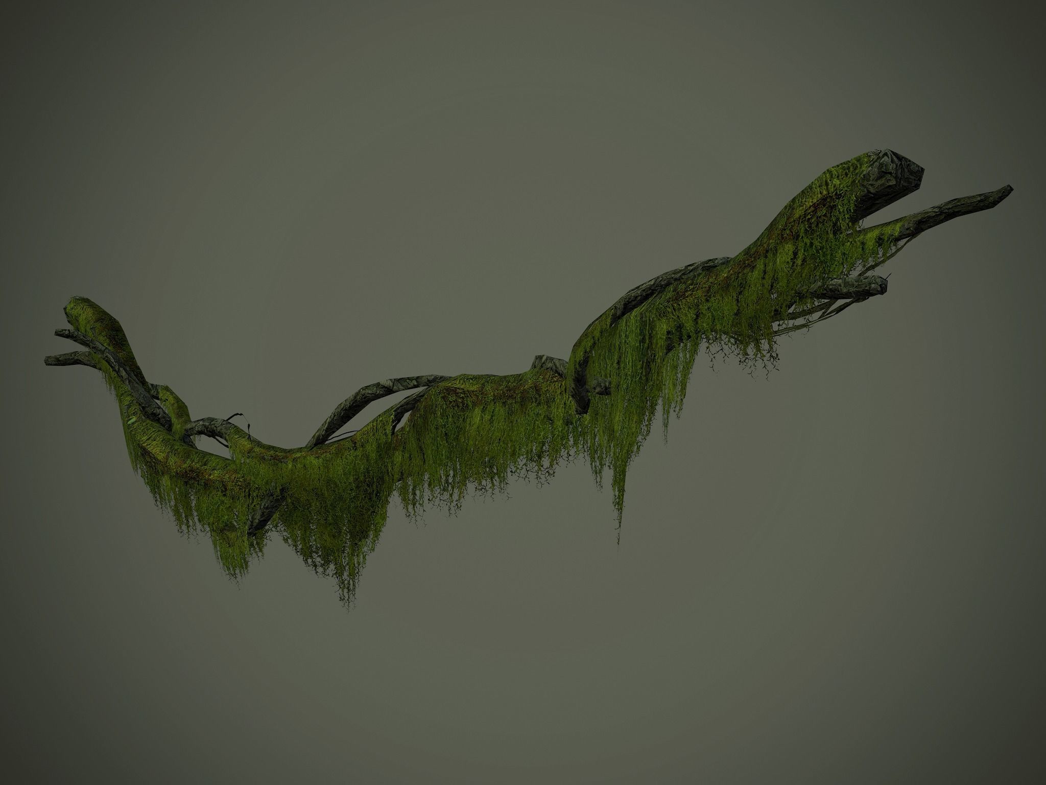 Nature Assets - Forest Vines Pack Low-poly 3D model_24