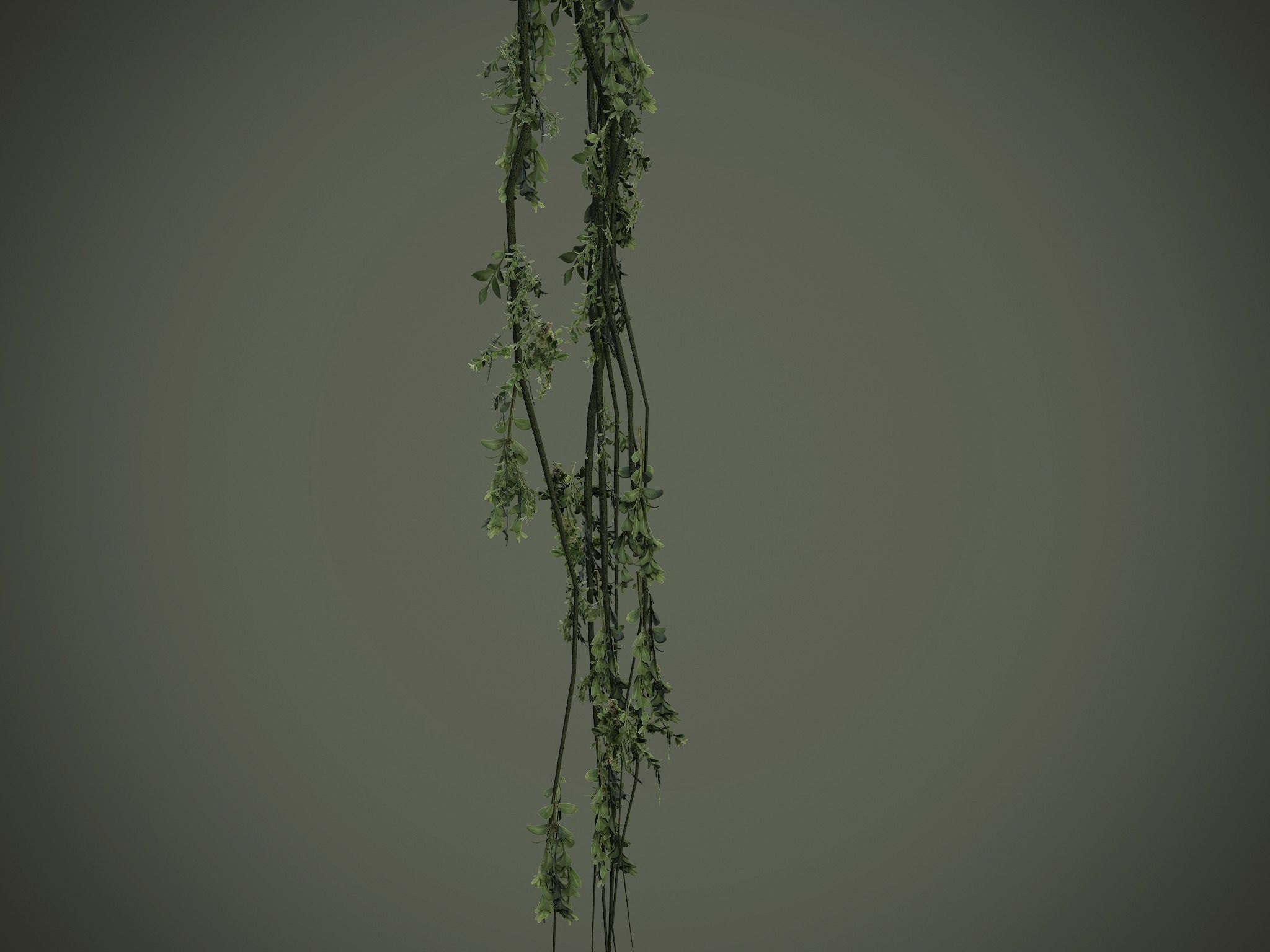 Nature Assets - Forest Vines Pack Low-poly 3D model_17