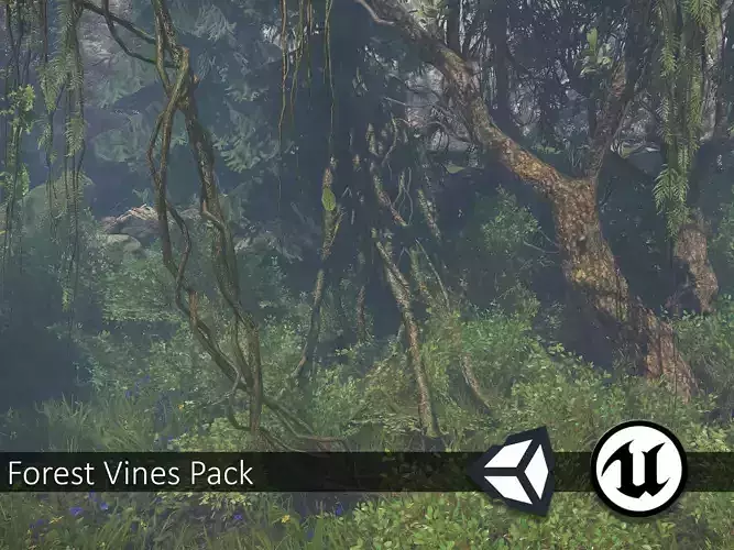 Nature Assets - Forest Vines Pack Low-poly 3D model
