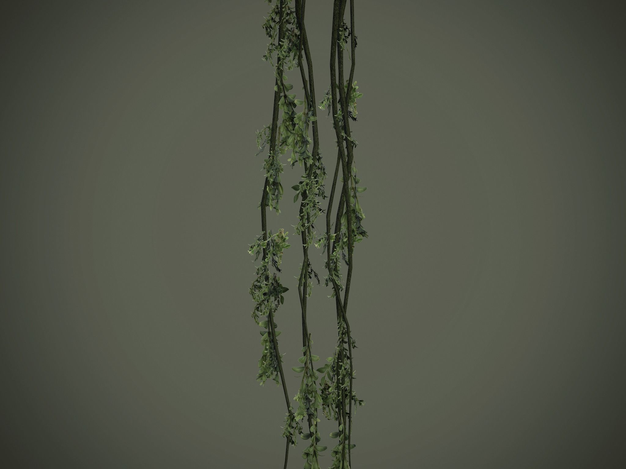 Nature Assets - Forest Vines Pack Low-poly 3D model_16
