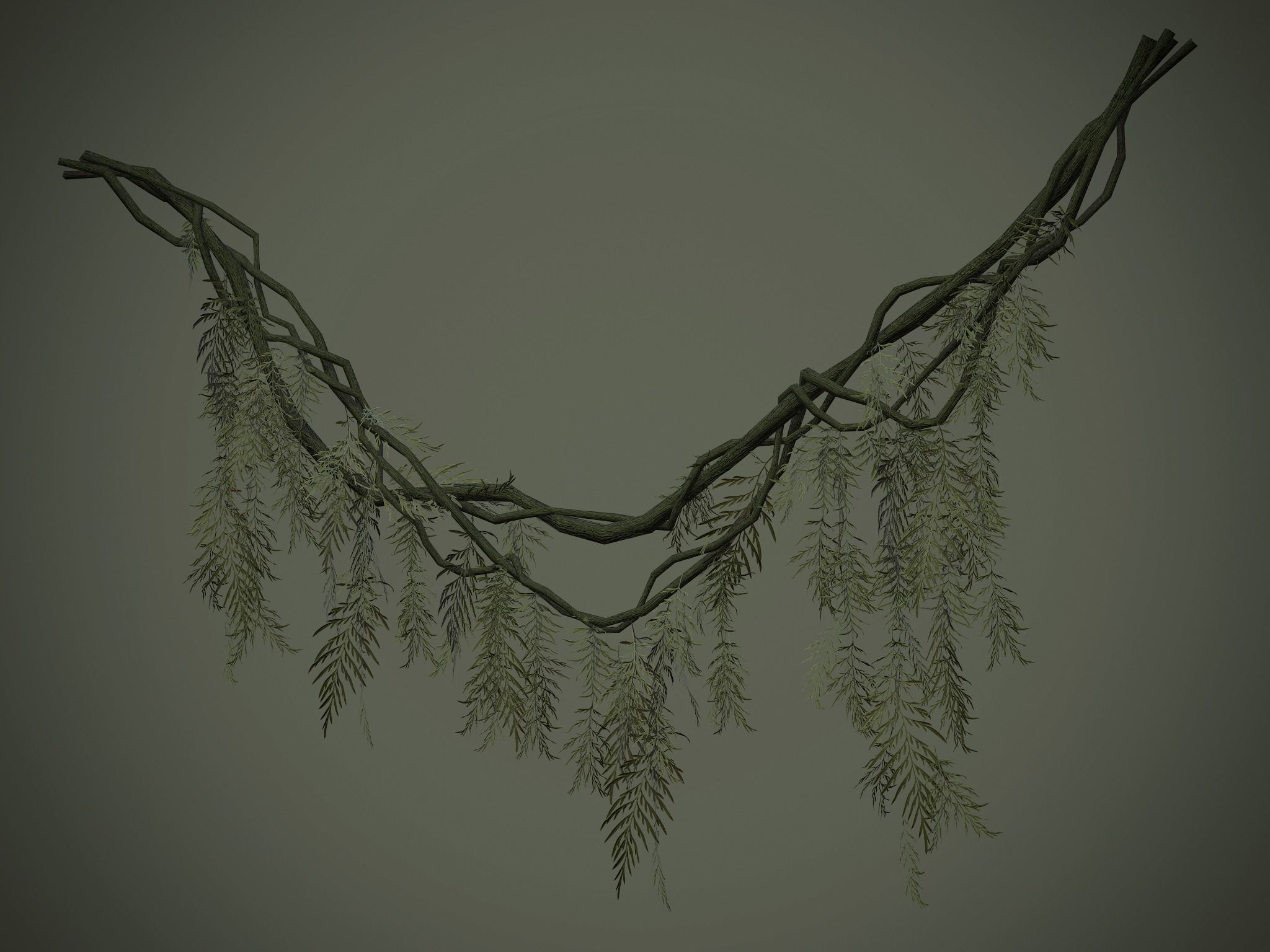 Nature Assets - Forest Vines Pack Low-poly 3D model_54