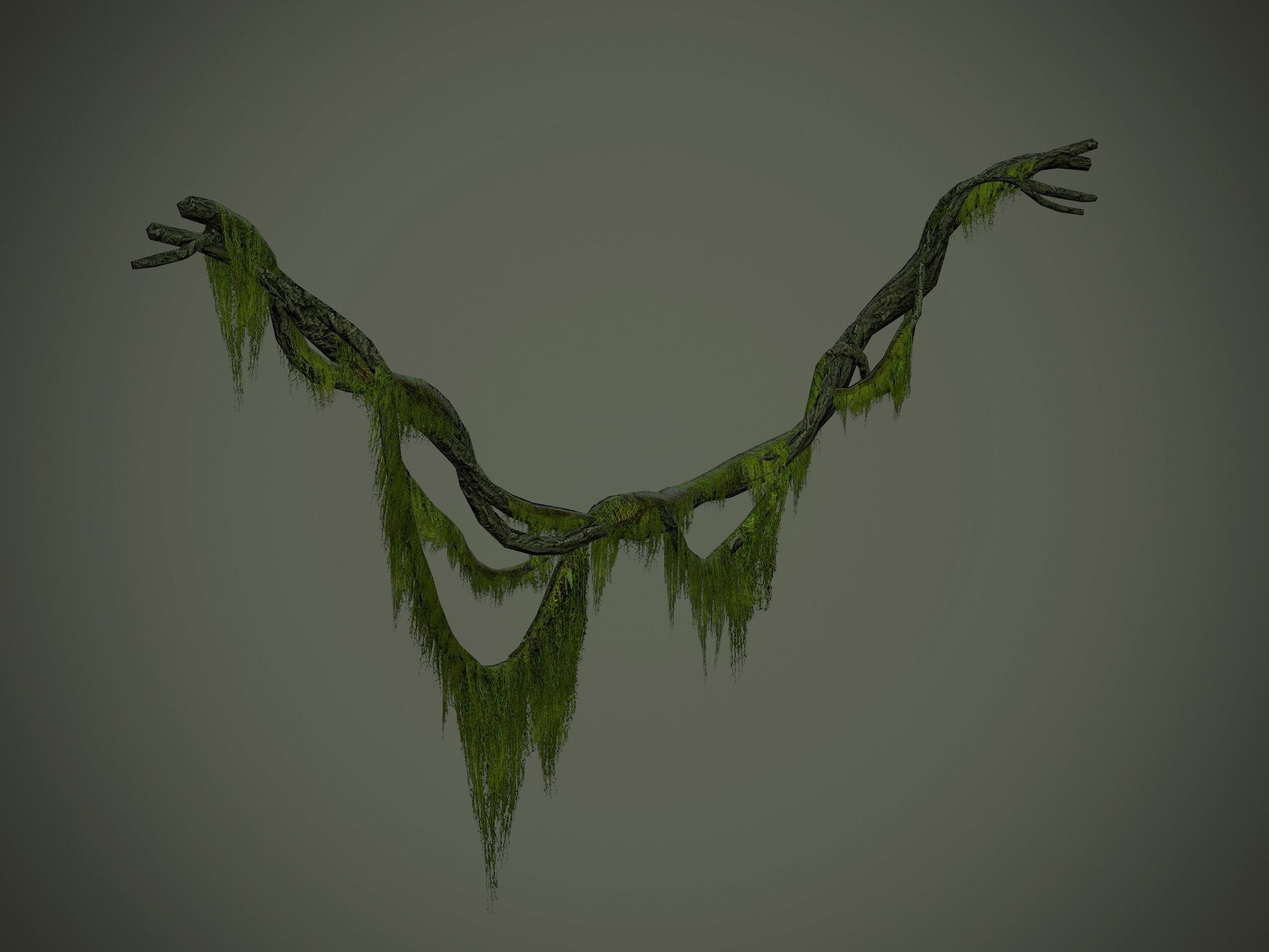 Nature Assets - Forest Vines Pack Low-poly 3D model_34