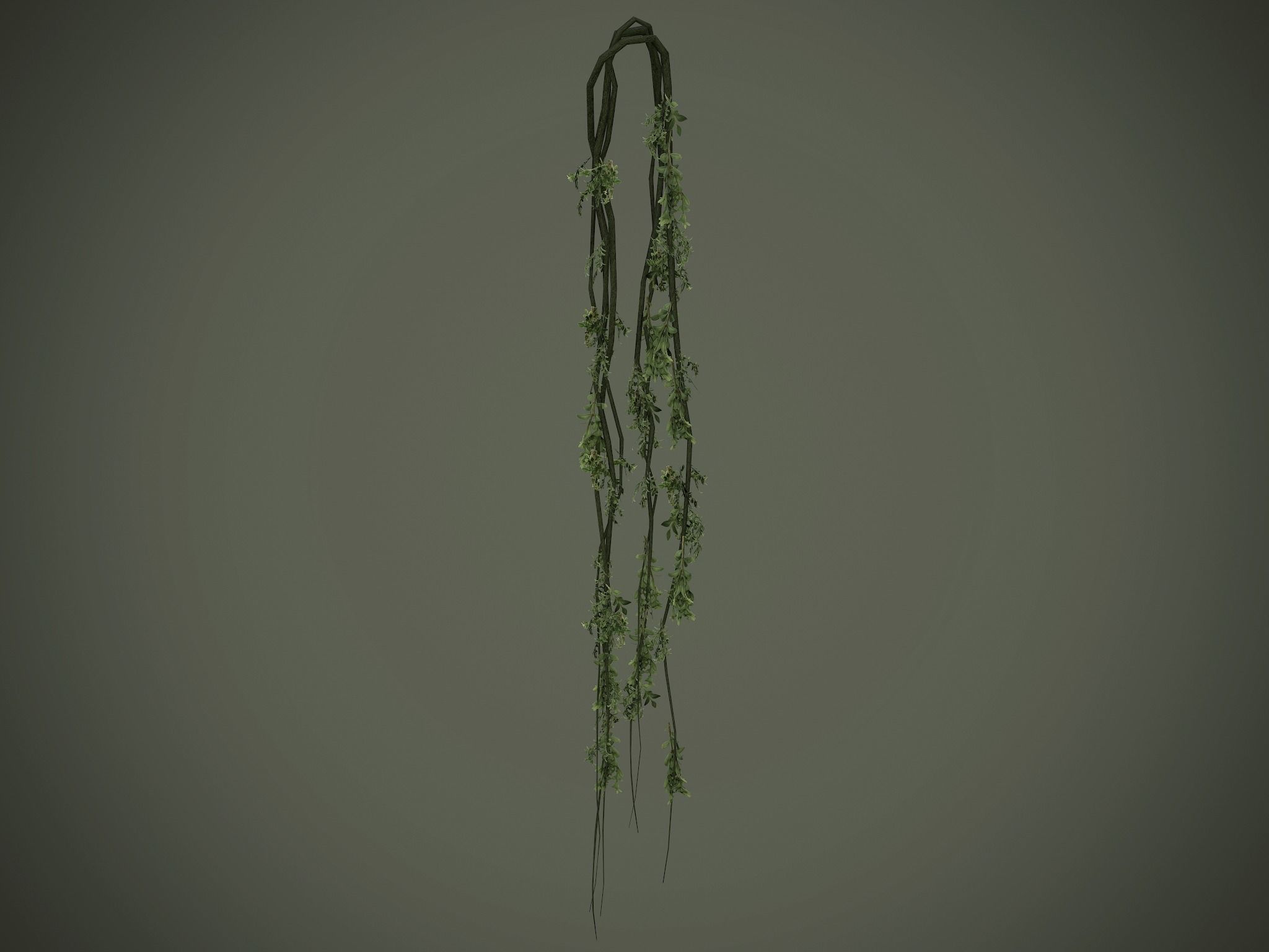 Nature Assets - Forest Vines Pack Low-poly 3D model_14