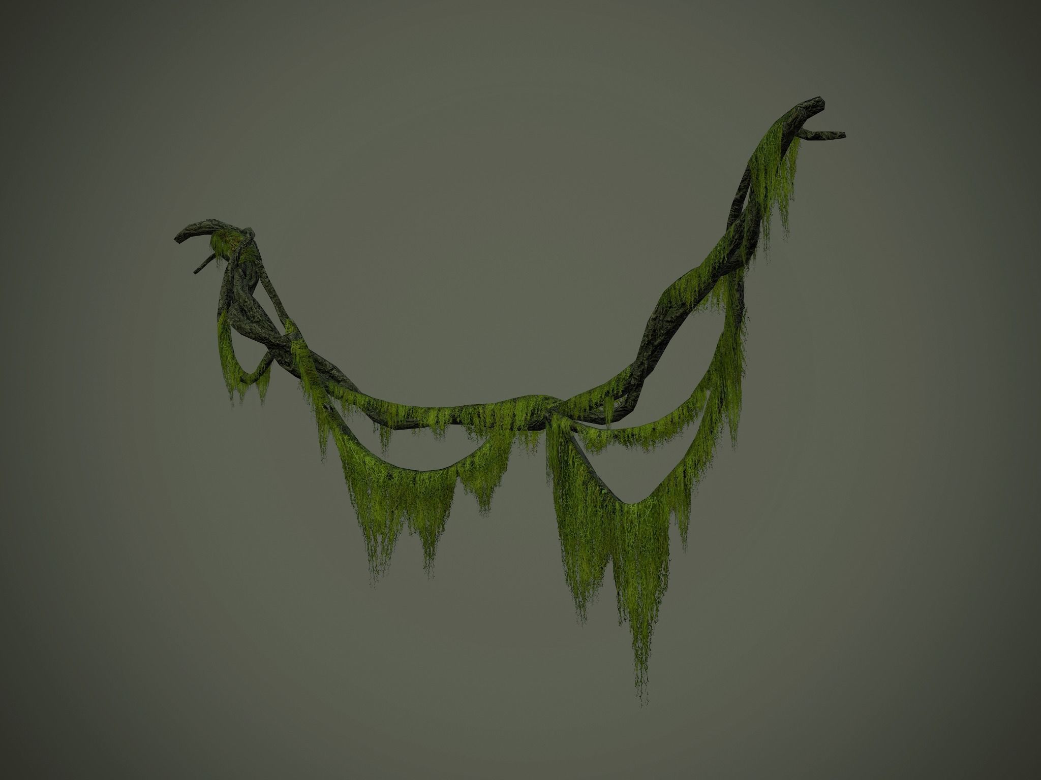 Nature Assets - Forest Vines Pack Low-poly 3D model_33