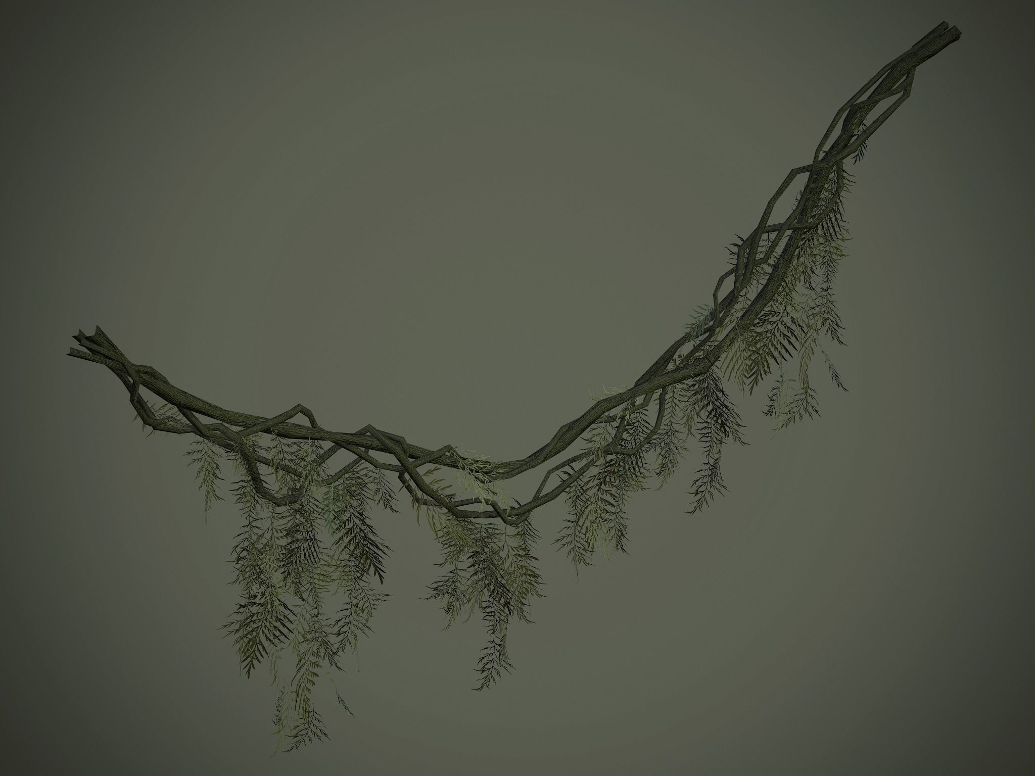 Nature Assets - Forest Vines Pack Low-poly 3D model_56