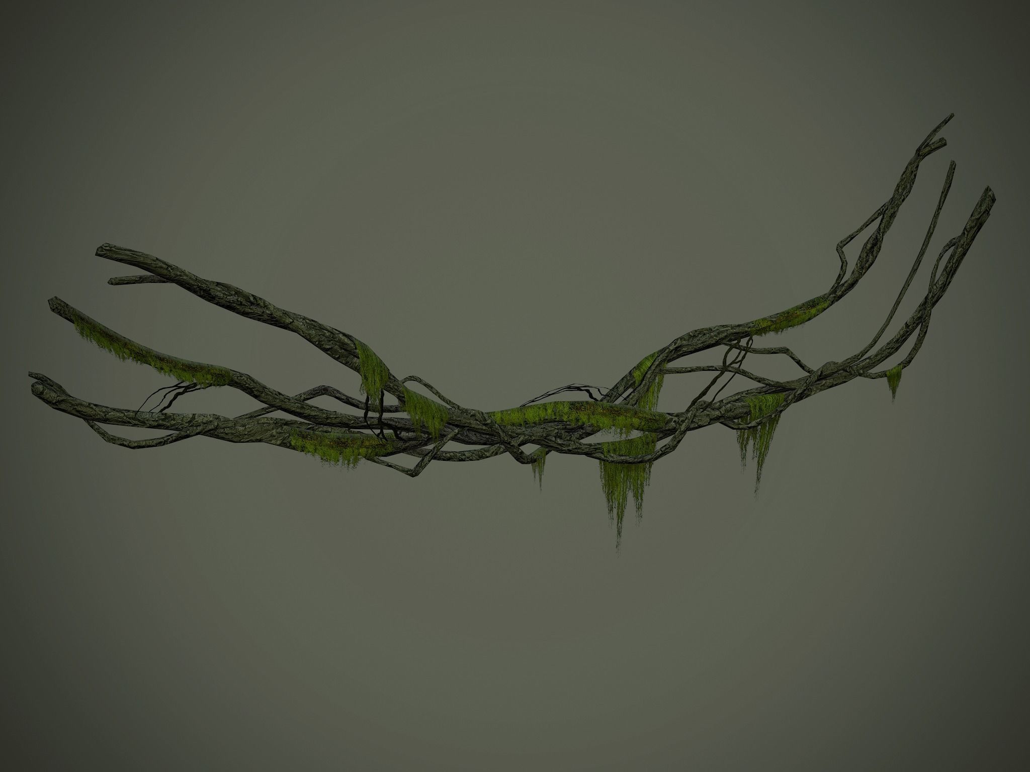 Nature Assets - Forest Vines Pack Low-poly 3D model_43