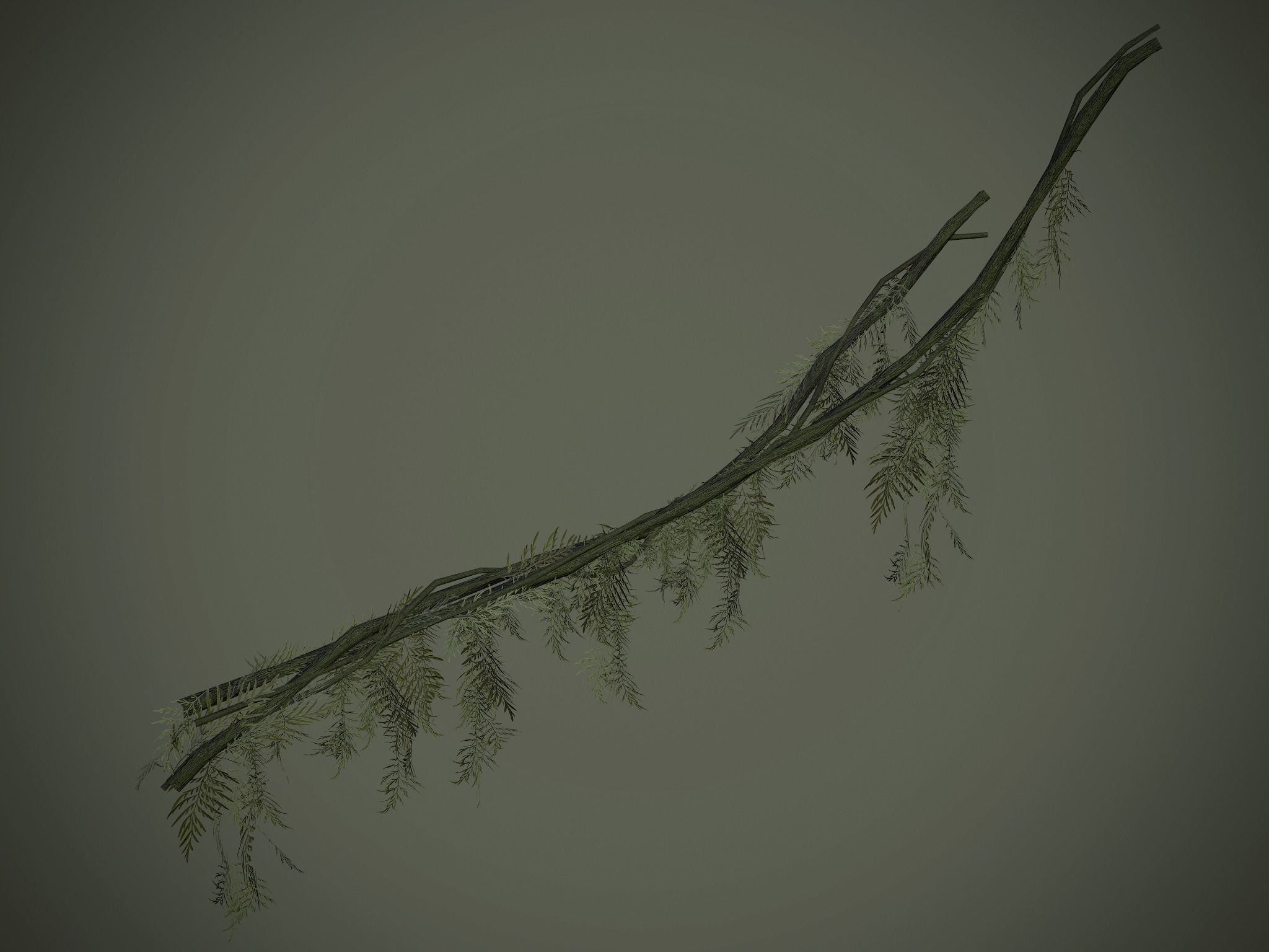 Nature Assets - Forest Vines Pack Low-poly 3D model_62