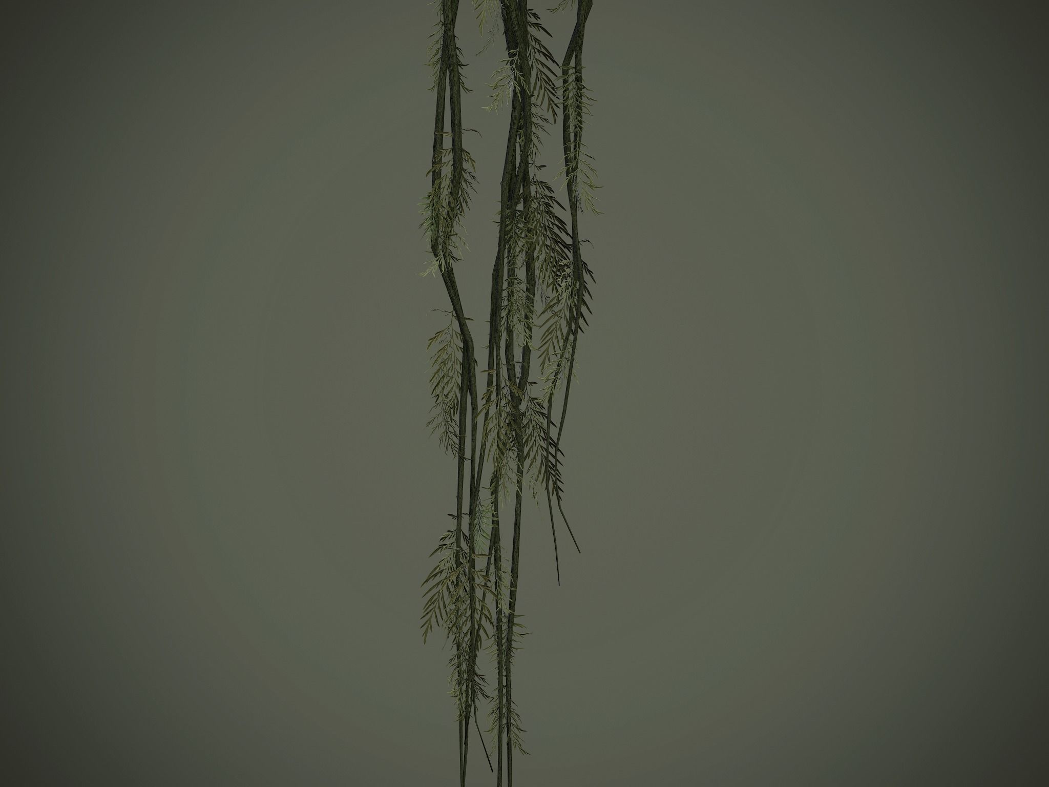 Nature Assets - Forest Vines Pack Low-poly 3D model_11