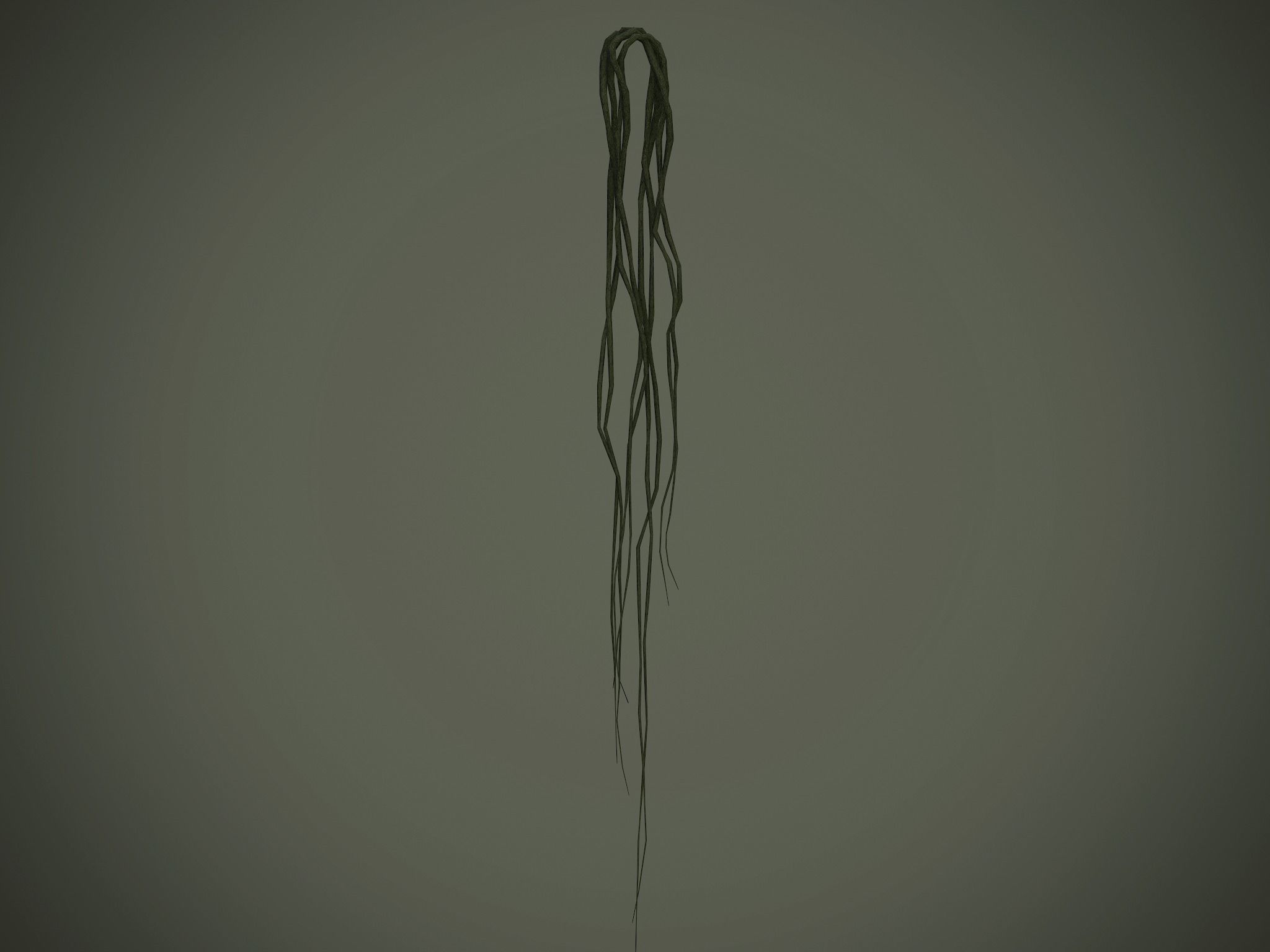 Nature Assets - Forest Vines Pack Low-poly 3D model_12