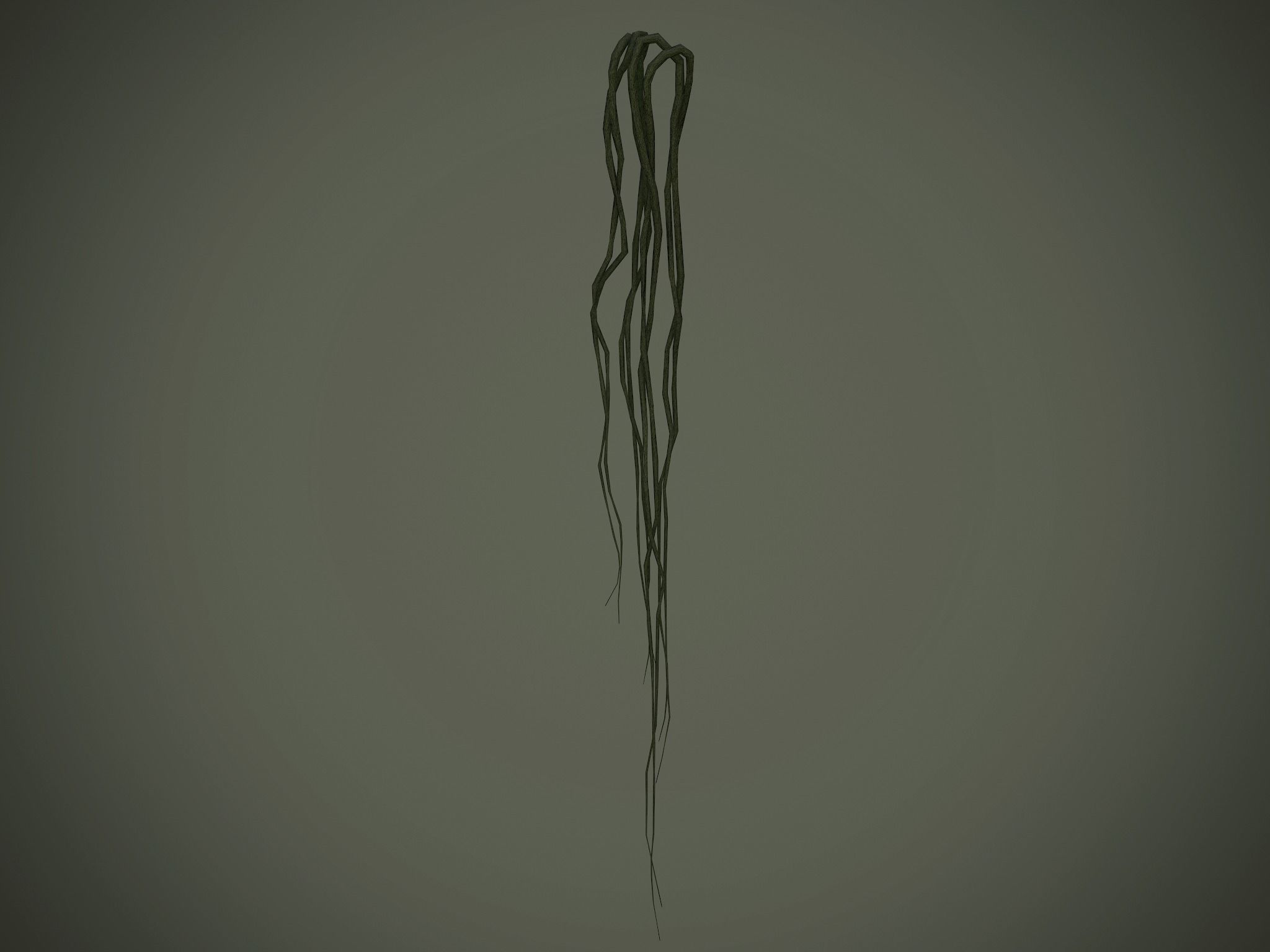 Nature Assets - Forest Vines Pack Low-poly 3D model_13