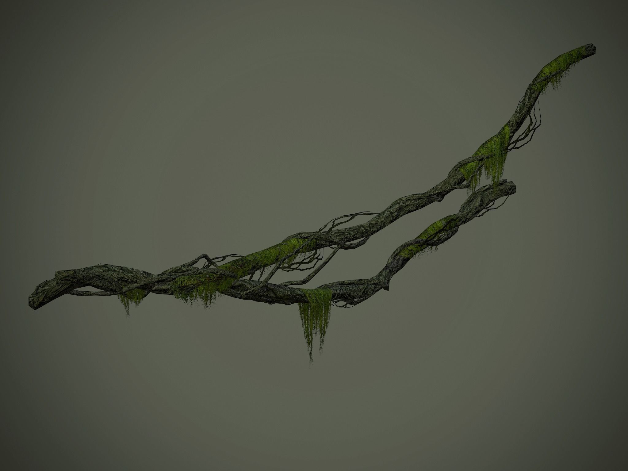 Nature Assets - Forest Vines Pack Low-poly 3D model_42