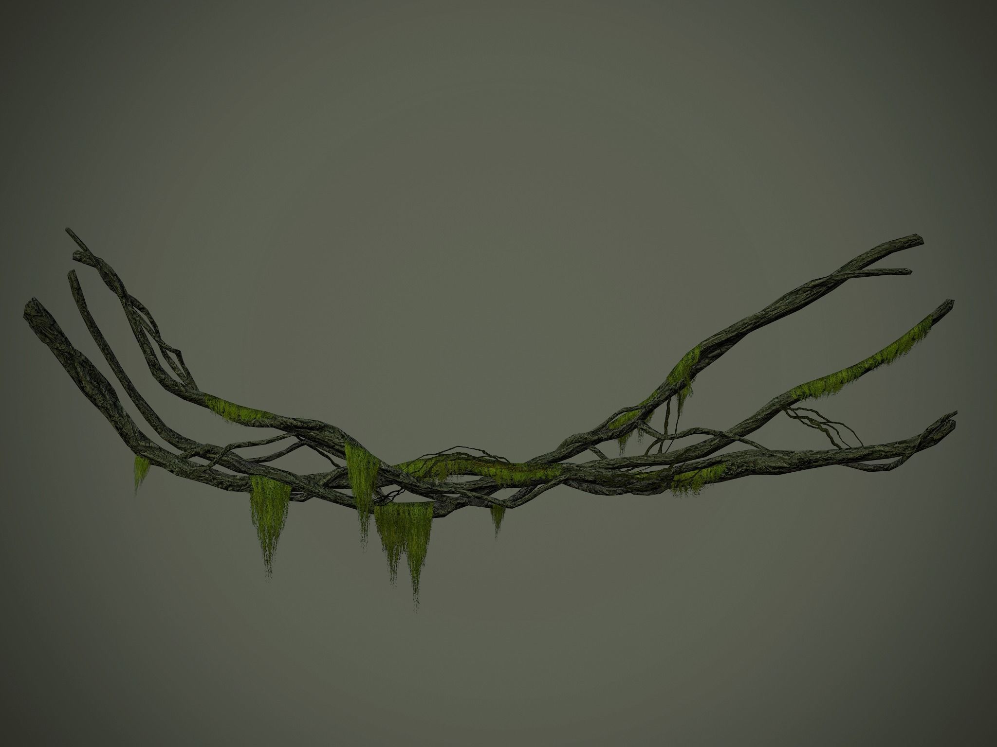 Nature Assets - Forest Vines Pack Low-poly 3D model_46