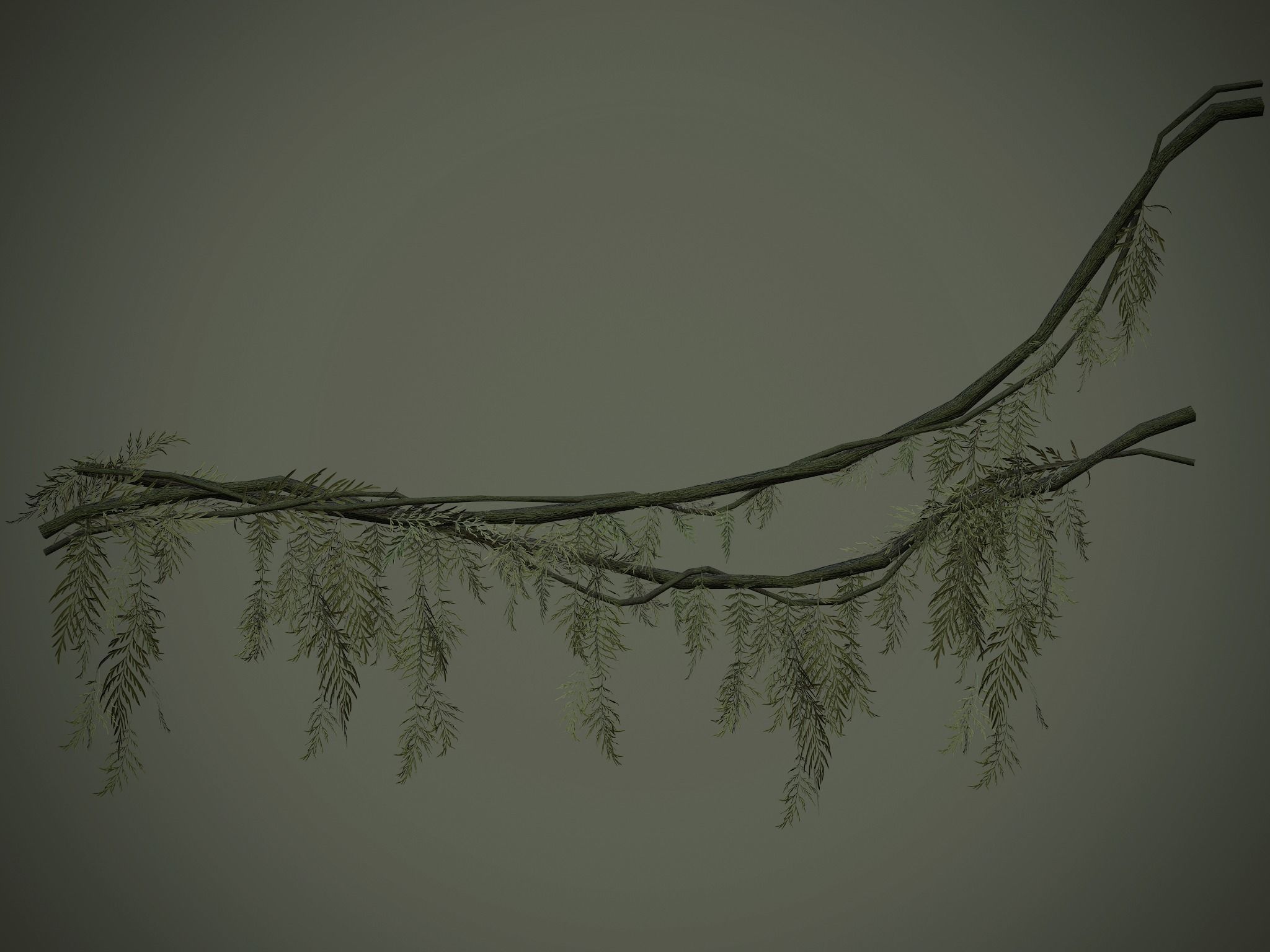 Nature Assets - Forest Vines Pack Low-poly 3D model_61