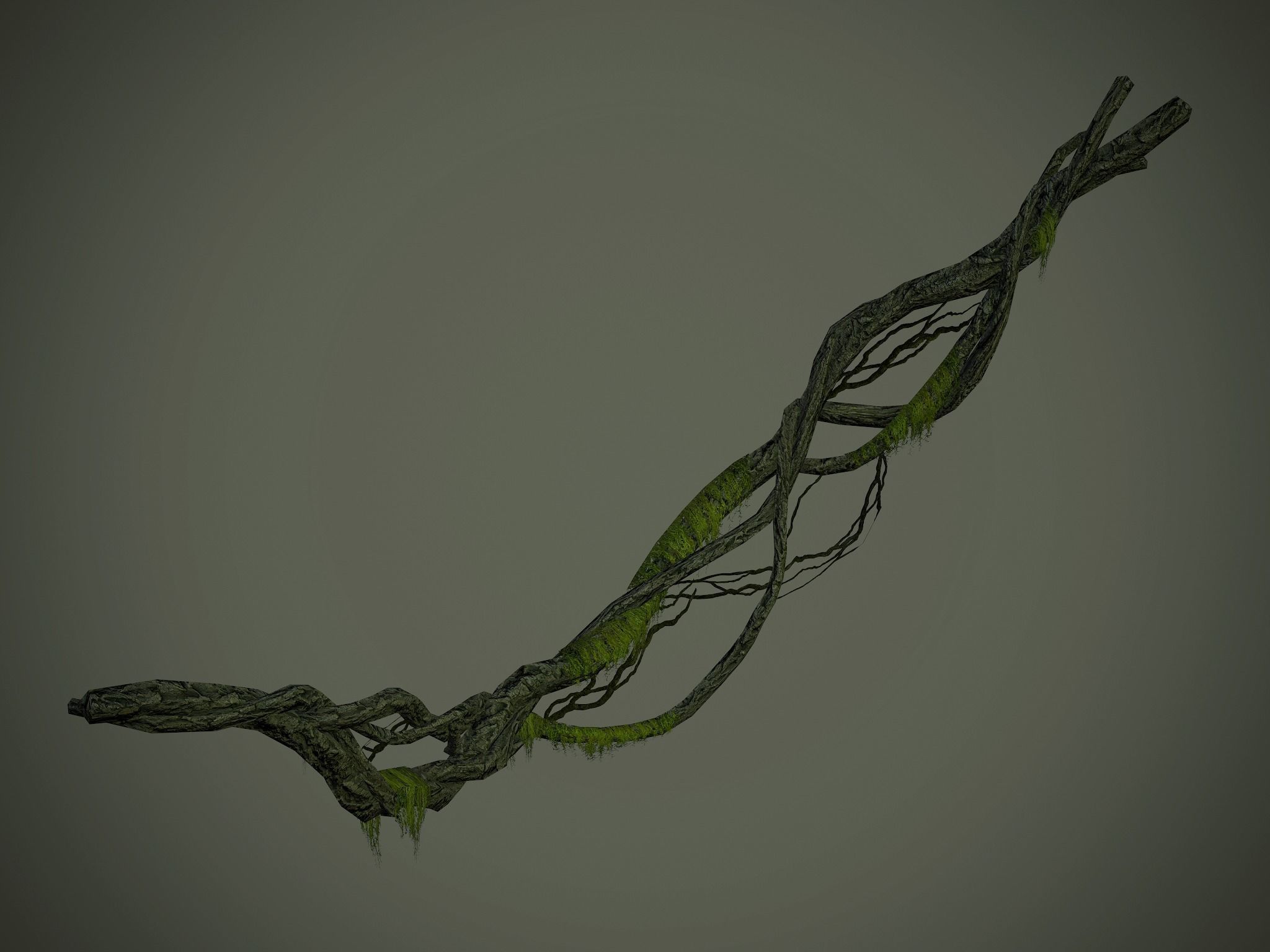 Nature Assets - Forest Vines Pack Low-poly 3D model_30