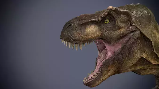 Tyrannosaurus  Rex-model Low-poly 3D model