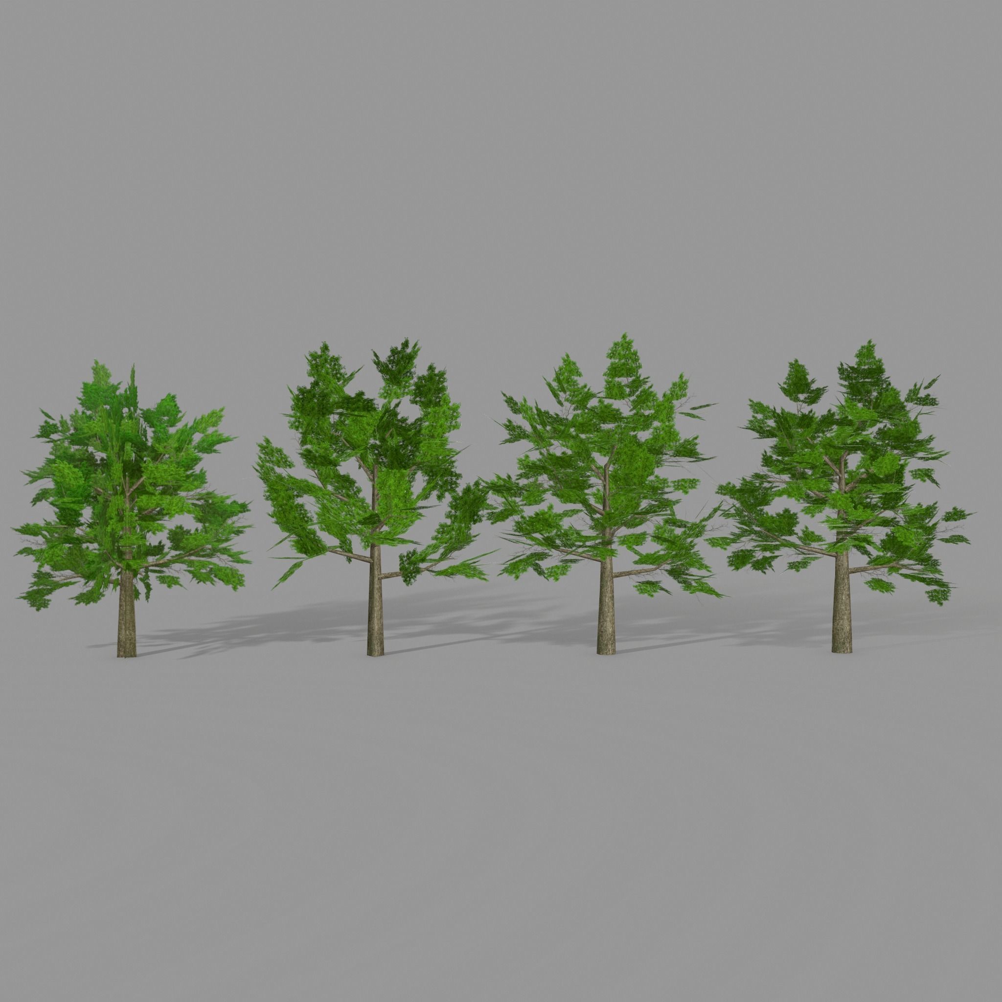 Oak 1 group of trees Low-poly 3D model_7