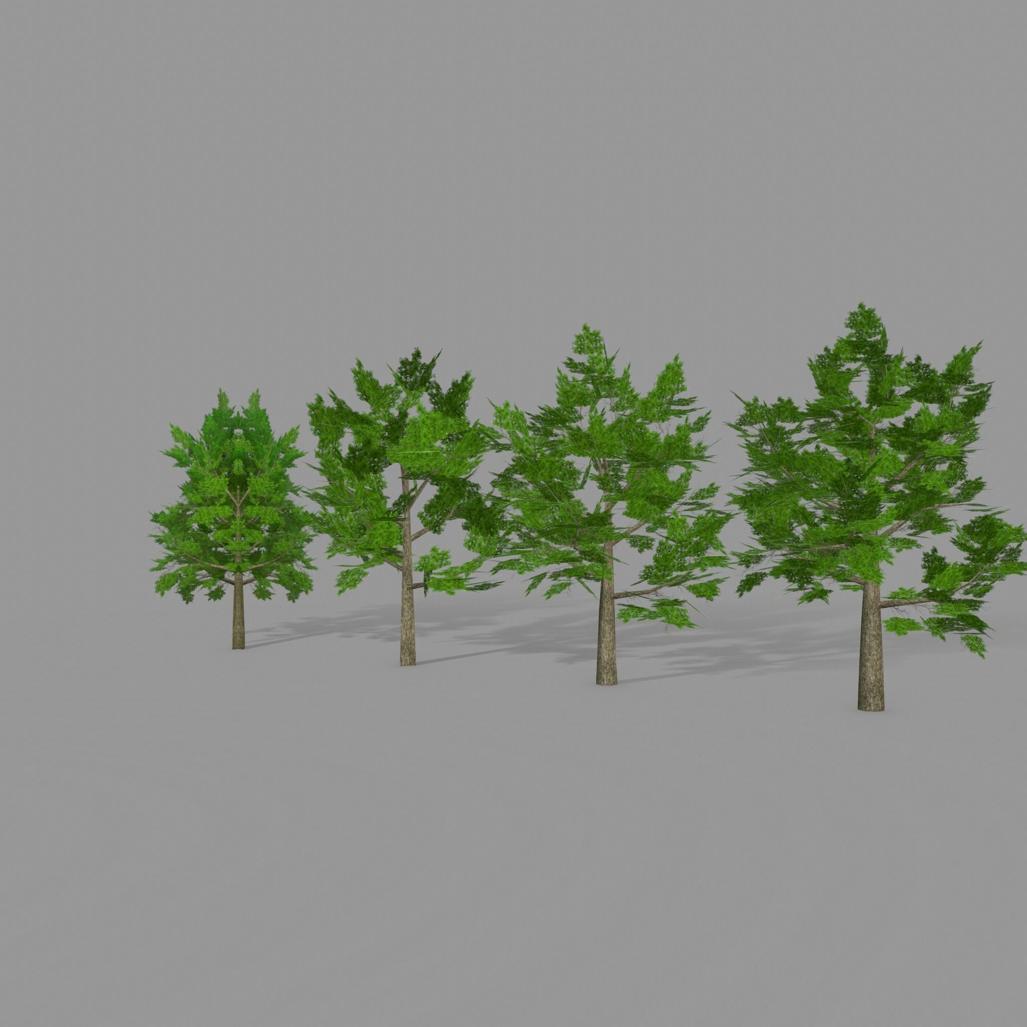 Oak 1 group of trees Low-poly 3D model_6
