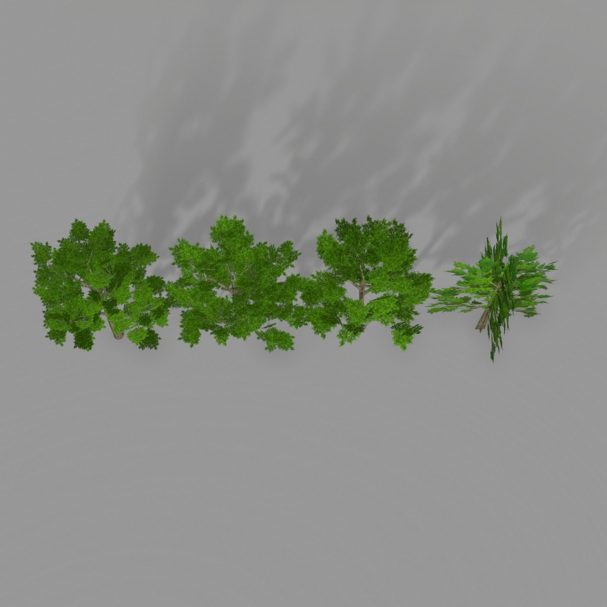 Oak 1 group of trees Low-poly 3D model_10