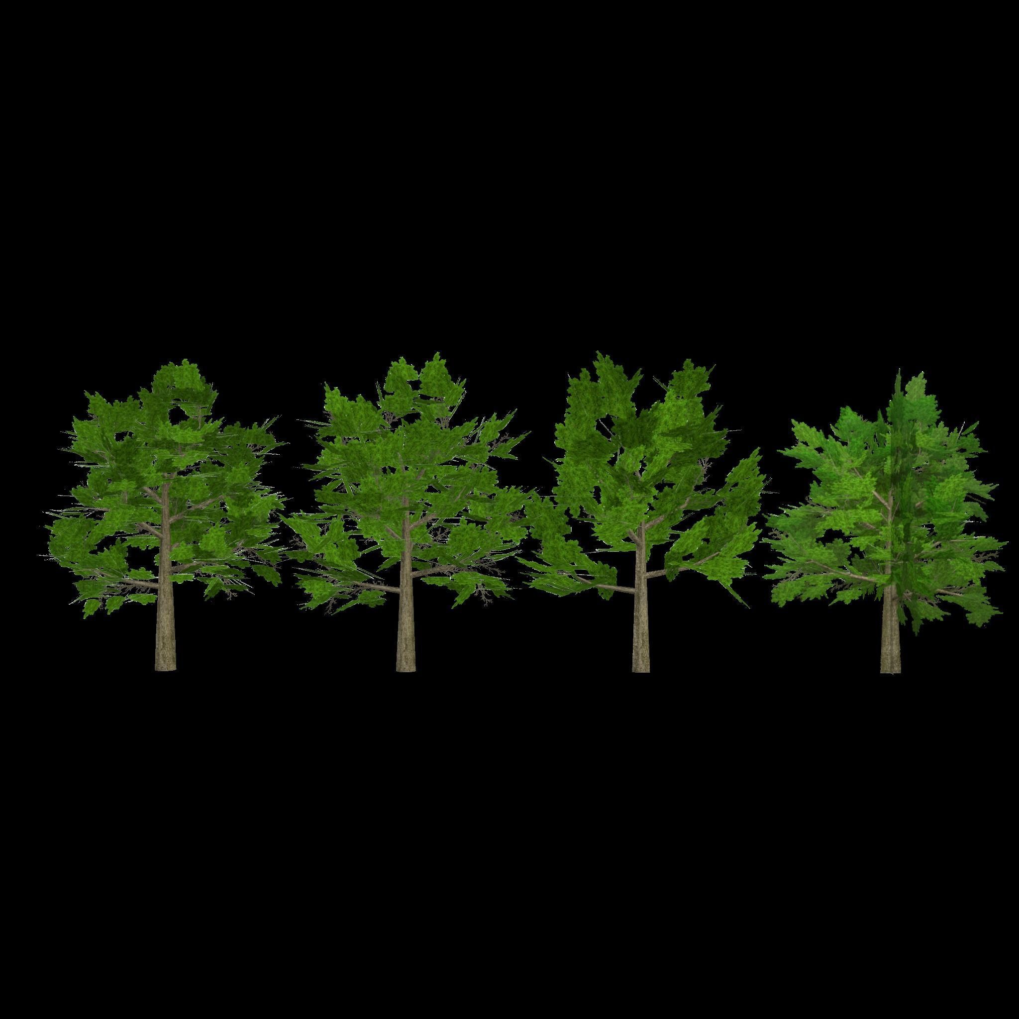 Oak 1 group of trees Low-poly 3D model_3