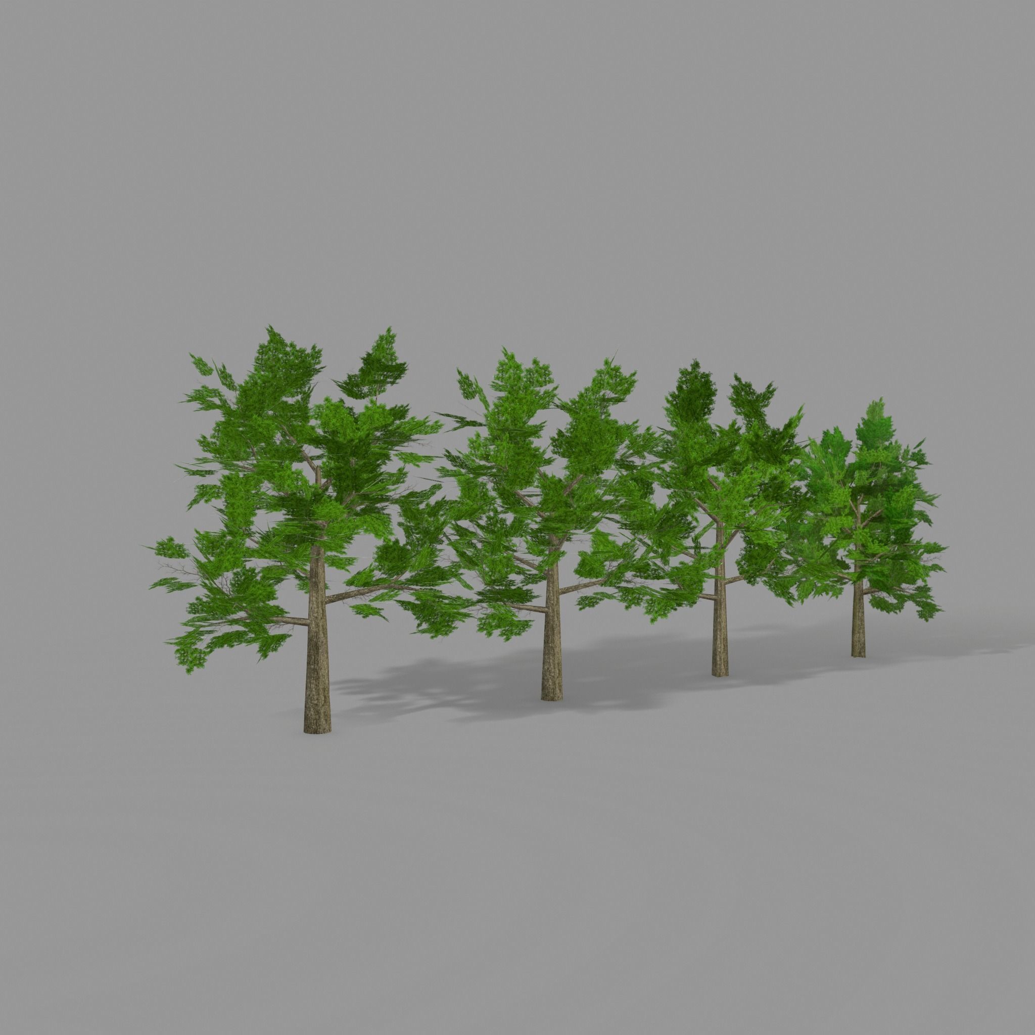 Oak 1 group of trees Low-poly 3D model_5