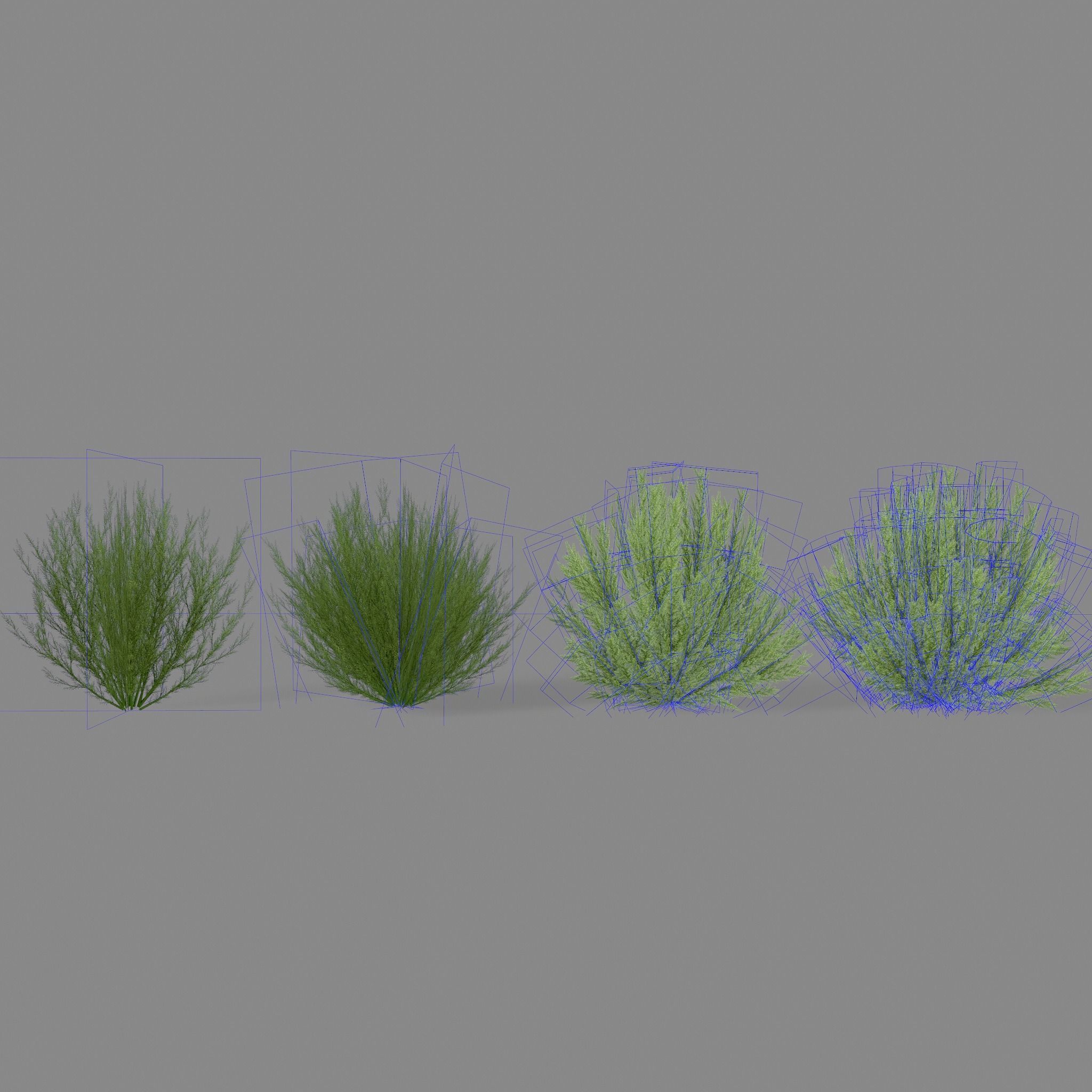 Shrub Rosmarinus 1 Low-poly 3D model_10