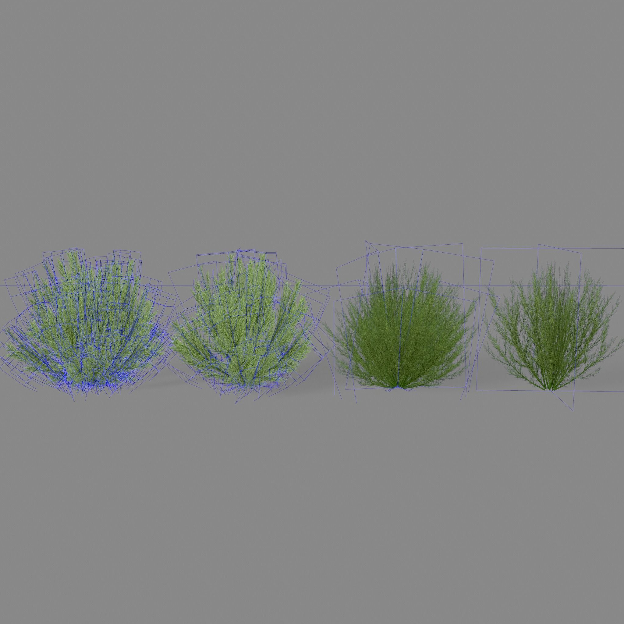 Shrub Rosmarinus 1 Low-poly 3D model_1