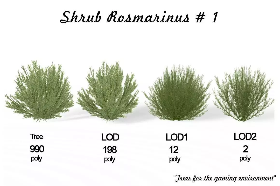 Shrub Rosmarinus 1 Low-poly 3D model_0