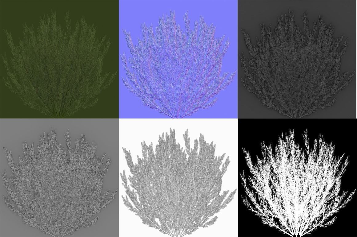 Shrub Rosmarinus 1 Low-poly 3D model_3