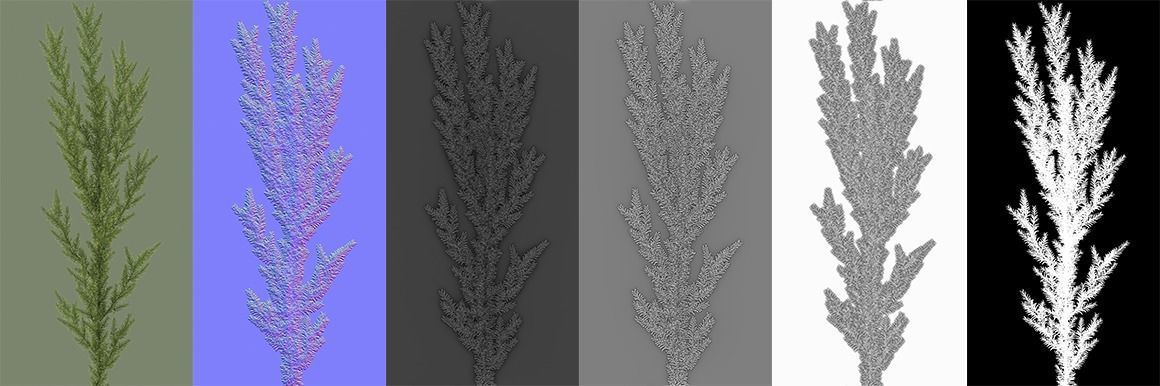 Shrub Rosmarinus 1 Low-poly 3D model_2