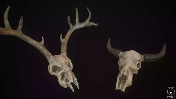 Decorative Skulls- Cow and Deer