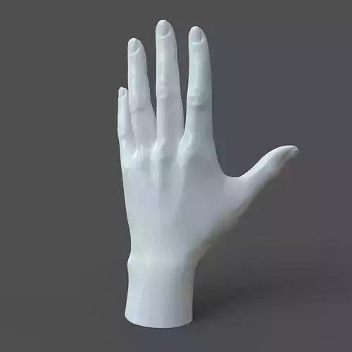 CAD-friendly Casual Woman Hand Model F1P1D0V1hand 3D model