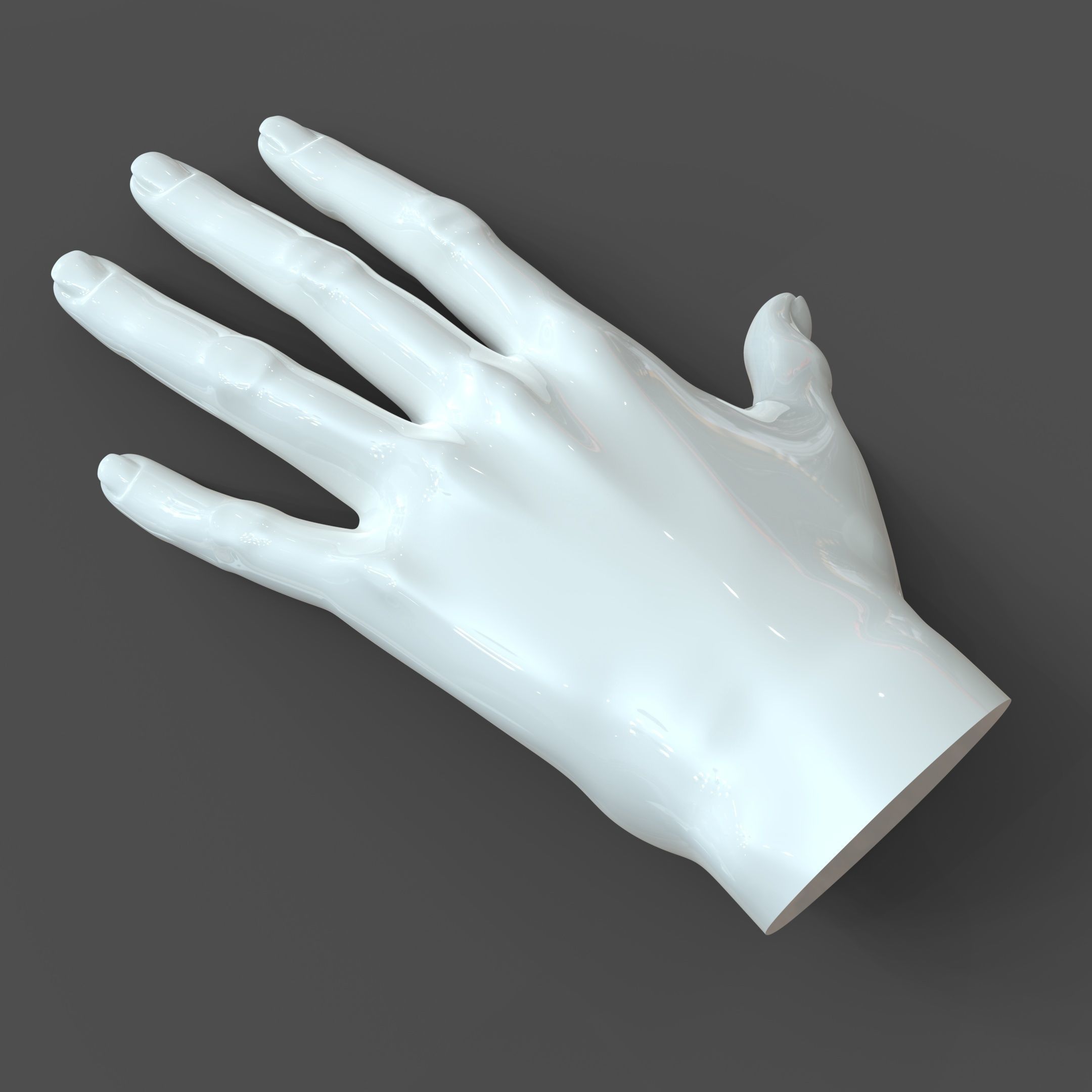 CAD-friendly Casual Woman Hand Model F1P1D0V1hand 3D model_16