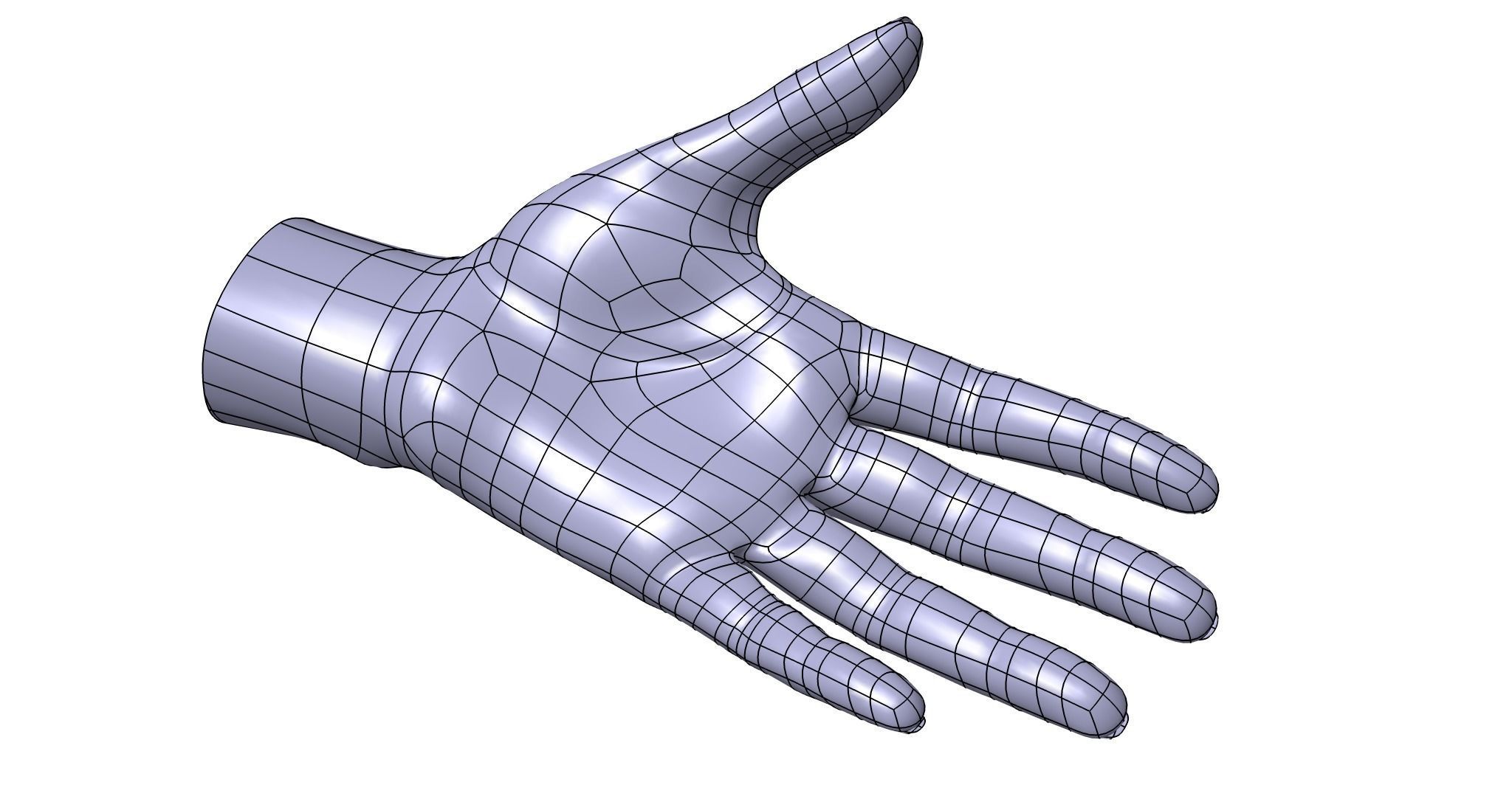 CAD-friendly Casual Woman Hand Model F1P1D0V1hand 3D model_8