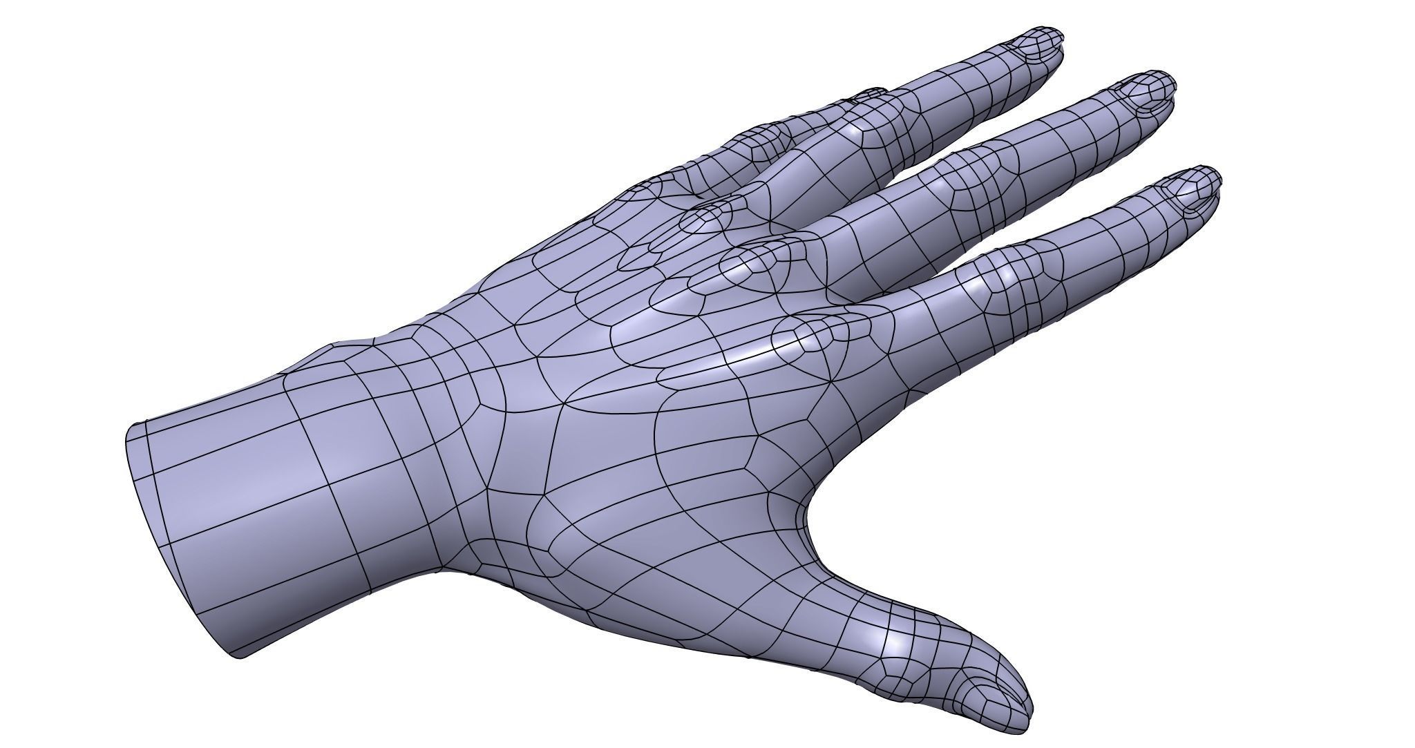 CAD-friendly Casual Woman Hand Model F1P1D0V1hand 3D model_5