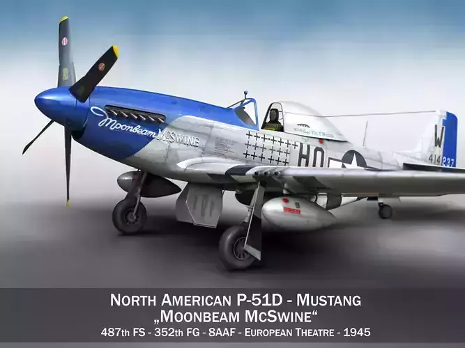 North American P-51D Mustang - Moonbeam McSwine