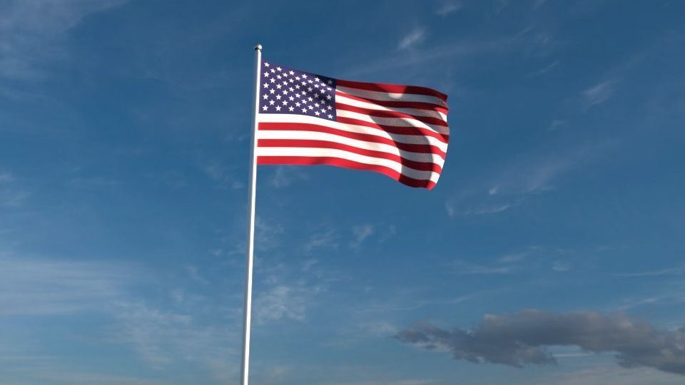 North American Flags  3D model_1