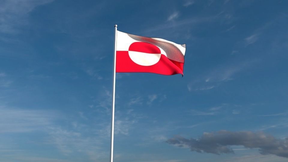 North American Flags  3D model_3