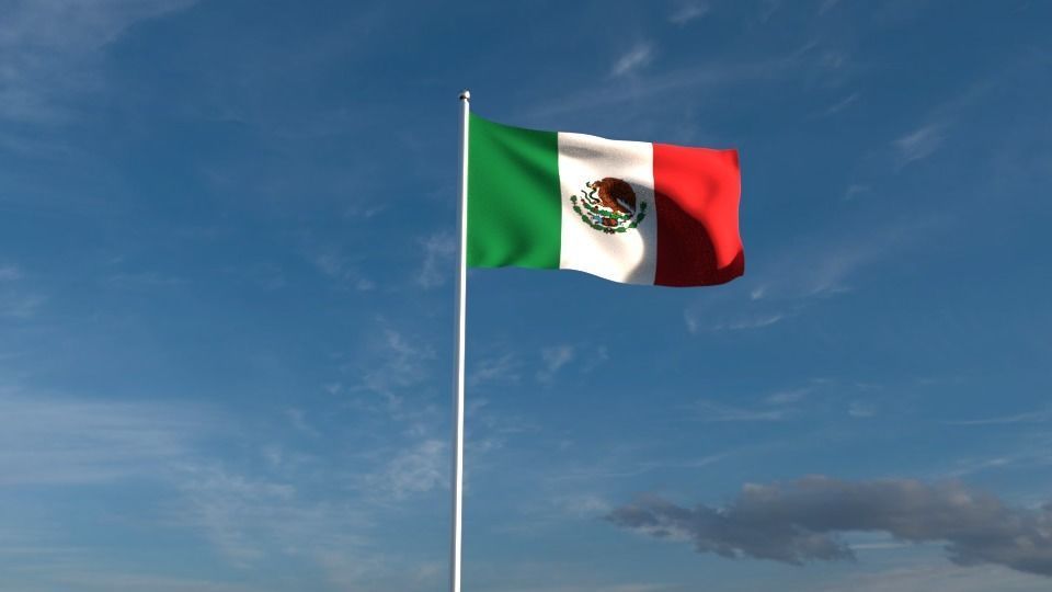 North American Flags  3D model_2