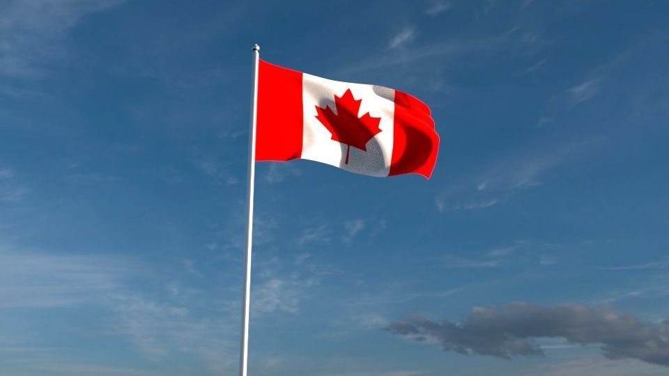 North American Flags  3D model_4