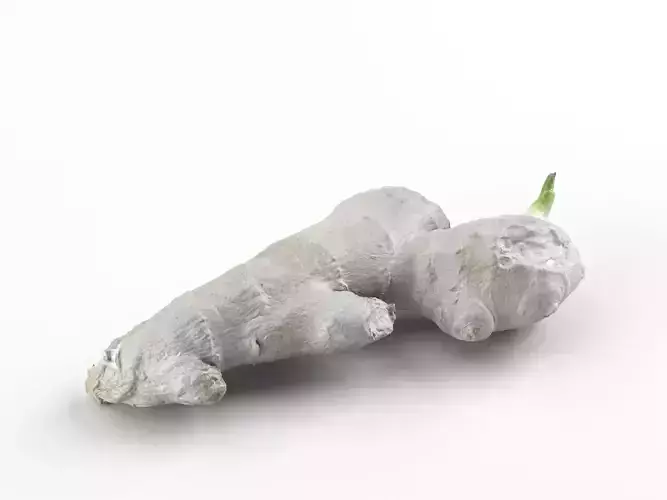 Photorealistic Ginger 3D Scan 3D model
