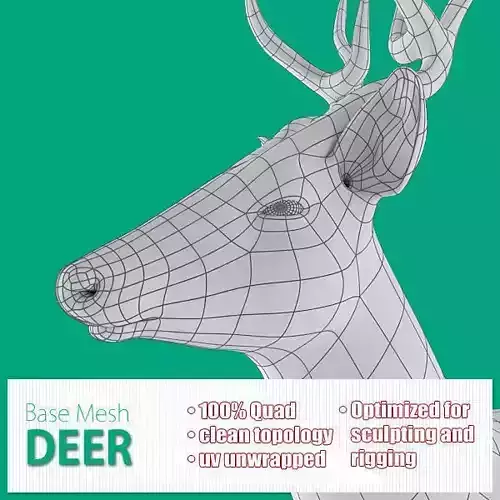 Deer Base Mesh