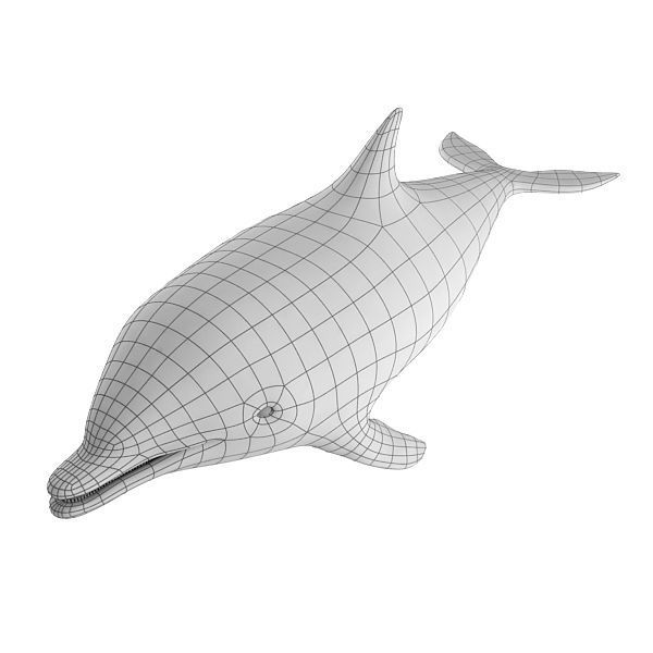 Dolphin Base Mesh Low-poly 3D model_2